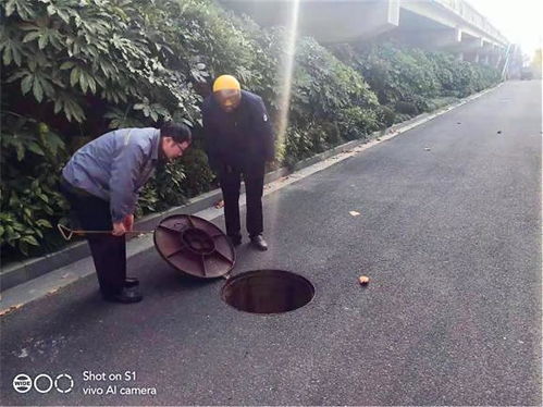 江蘇海安鳳山村 以系統思維全面推進水污染治理，守護碧水清流