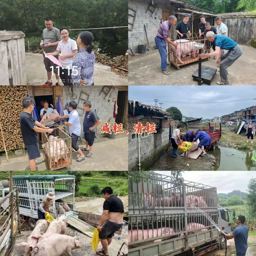 寧化多措并舉打好汛期水污染防治攻堅戰(zhàn)