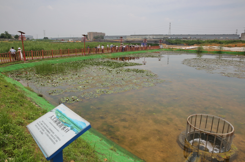 市人大常委會開展水污染防治“一法兩條例”執法檢查_日照市水污染治理
