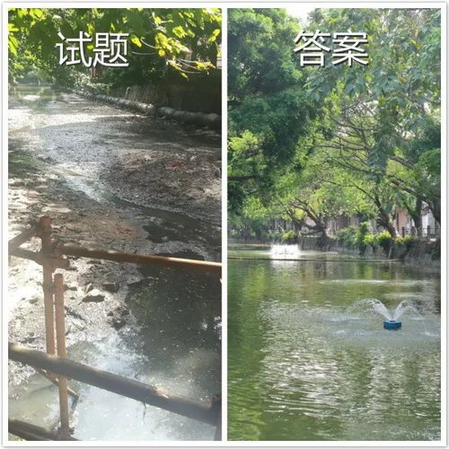 叮！這是東莞水污染治理的答卷，請您閱卷